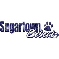 GLT1 BLUE GLITTER Thumbnail